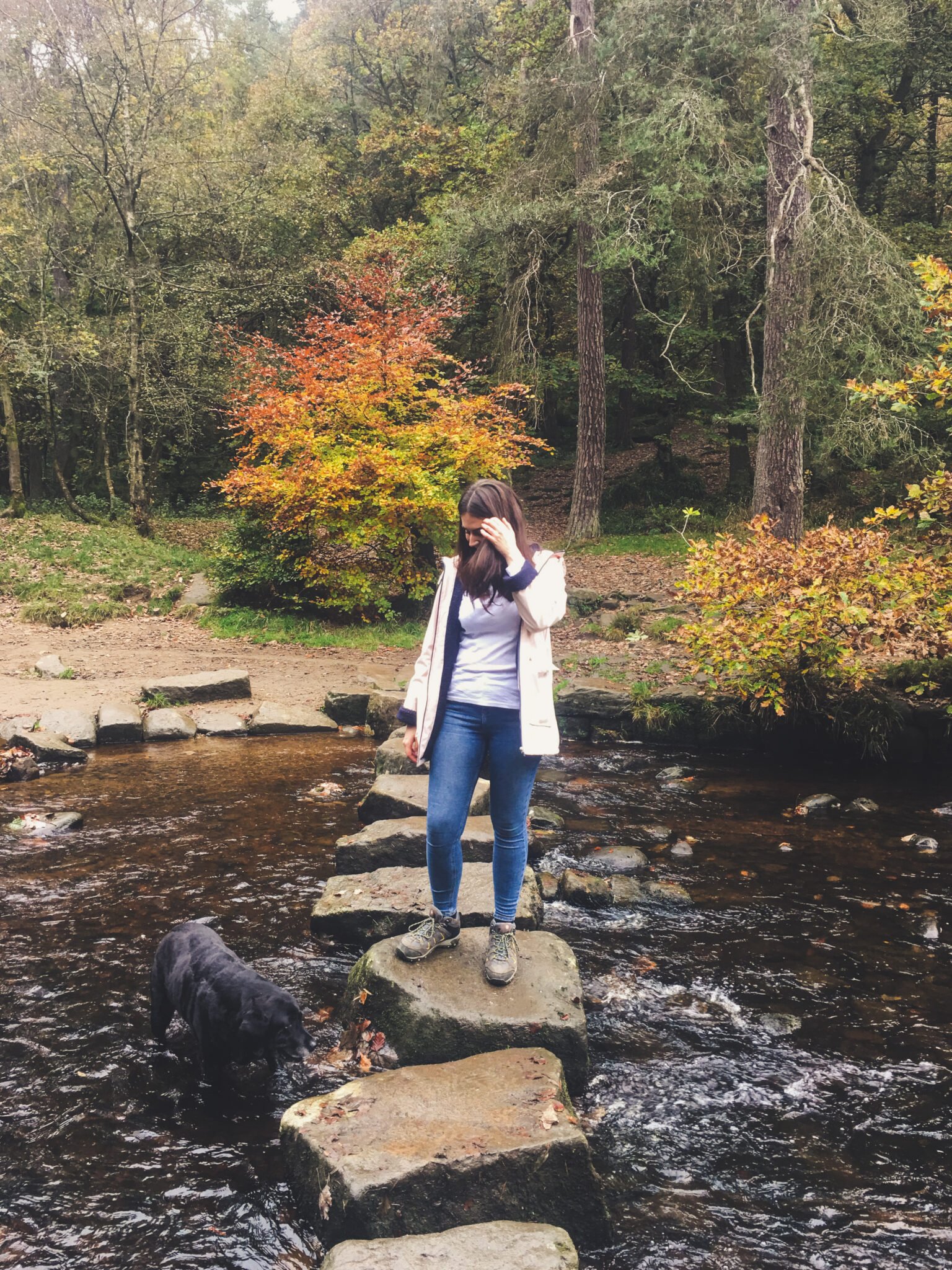 WALKS IN YORKSHIRE: HARDCASTLE CRAGS